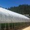 Poly house UV film / polyethylene sheets plastic roll for greenhouse