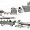 2018 potato chips full automatic French fries production line