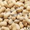 2017 new functional peanut oven/peanut roaster/peanut baking machine
