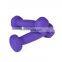 Chinese Wholesale Women Use Colour Dumbbells Neoprene Pair Gym Equipment Dumbbell Set