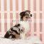 Luxury Waterproof   Memory Foam  Dog Bed with Removable Cover