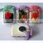 Acrylic Fridge Magnets Vegetables and Fish Inside