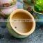 Best selling succulent plant ceramic flower planter pot for garden