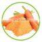 Factory Supply Natural Carrot Powder With Best Price From Viet Nam