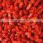 Sinocharm BRC A Approved IQF Goji Berry Frozen Fresh Chinese Goji