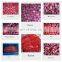 AM13 Sweet Charlie Honey Frozen For Freshness Strawberries IQF