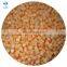 IQF Frozen Cantaloupe Dice