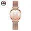 Hannah Martin 13620 Women Watch Luxury 3D Butterfly Rose Gold Mesh Strap Japanese Movement Waterproof Quartz Women Wristwatch