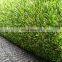 Landscaping Garden grama sintetica natural 12mm 15mm 30mm