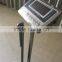 digital weighing scales with height rod