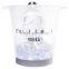 2016 new fashion tall plastic acrylic ice bucket with two handles
