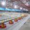 Easy Management Broiler Ground Raising
