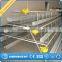 prefab chicken farm/chicken farm building/chicken farm supplies