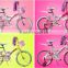 20 inch girls child bicycle / princess children bike / single speed bicycle