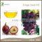 High Quality Cold Press Grape Seed Oil in Herbal Extract