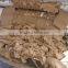 Paper pulp dewatering filter press