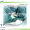 Safety Gloves Transparent Glove Disposable Latex Surgical Gloves