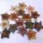 Orgone Merkaba 5 Pointed : Wholesale Mix All Chakra Stone