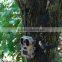 High Vision 940NM IP66 GPRS Hunting Camera Digital Video Trail Camera                        
                                                Quality Choice