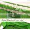 YIWU RODA 100% Oxford fabric durable water-proof foldable storage box