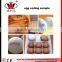egg conveyor, egg inkjet printer conveyor, egg inkjet coder conveyor
