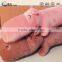 Wholesale Soft Plush Toy Hippo Stuffed Toy