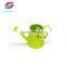Mini Hollow Flower Watering Can