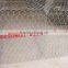 Best price galvanized /pvc coated gabion wire mesh / gabion box