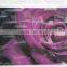 photo cold lamination film/Multi lens holographic 3d films