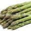 IQF green Asparagus with high quality for sale