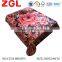 2015 NEW DESIGNS 1ply&2ply high quality hot printed raschel korean style blanket NO.CJ328