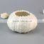 BSCI Audit New Arrival Ocean Ceramic Storage Jar with Lids for Home