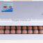 Weiqian 59 Eggs Incubator With Automatic Egg Turning/egg Incubator for Sale/mini Egg Incubator