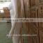 hot sale fashion and decent plastic mannequin without head