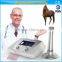 equine veterinary shock wave therapy equipment for treatment of osteoarthritis in the horse