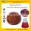 GMP Factory Supply High Quality Grape Seed Extract (High Orac Value)