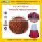 GMP Manufacturer Supply Low Price Grape Seed Powder Extract