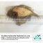 Dried Flatfish/Dried flounder