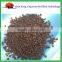 DAP fertilizer diammonium phosphate 18-46-0