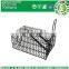 Haierc Small Humane Animal Live Cage Trap Mouse Iron Cage Trap for Rodents, Rats, Mice,Chipmunk,Squirrel and Weasel (HC2601M)