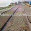 Multi-Span Agricultural Greenhouses