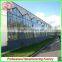 Agriculture Farm 16m Multi-span Glass Galvanized Steel Frame Greenhouse for Tomato