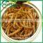 Dried Mealworms,Birds Food & aquarium fish food