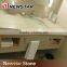 Newstar White Wooden Graining Marble Cut-to-Size Vanity Top with Double Sink Marble Colors