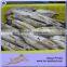 300g Raw Size Boneless Precooked Tuna