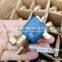The electromagnetic valve Coffee machine solenoid valve JYZ-3 AC110-120V 60HZ Two three links The electromagnet