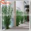 2016 Wholesale outdoor chinese bamboo plant for hotel decoration plastic bamboo artificial bamboo plants
