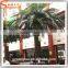 artificial date palm tree hight quatily landscaping garden decoration fiberglass large colorful coconut palm tree for sale