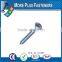 Made in Taiwan Cross Recessed Pan Head Self Tapping Screw DIN 7981 Pozi Drive or Phillips Drive Steel or Stainless Steel