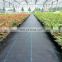 Agricultural Biodegradable 7 Year UV Weed Control Fabric